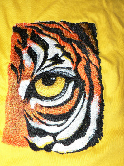 Oko tygra