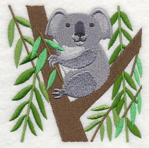 Koala na eukalyptu *