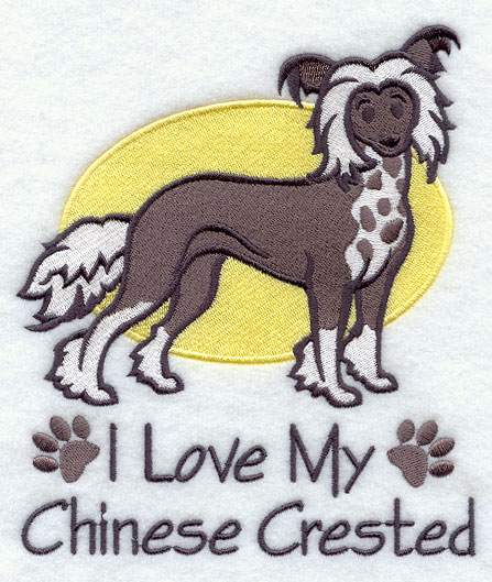 ILM chinese crested * (nsk chocholat)