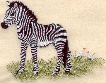 Zebra- miminko *