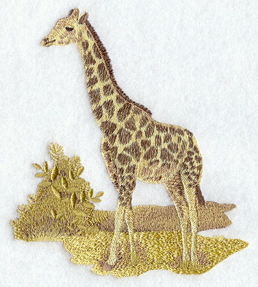 Žirafa 2